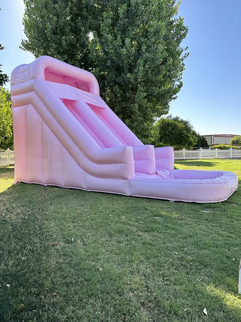 Flamingo Falls — Pink Waterslide (or ball pit)